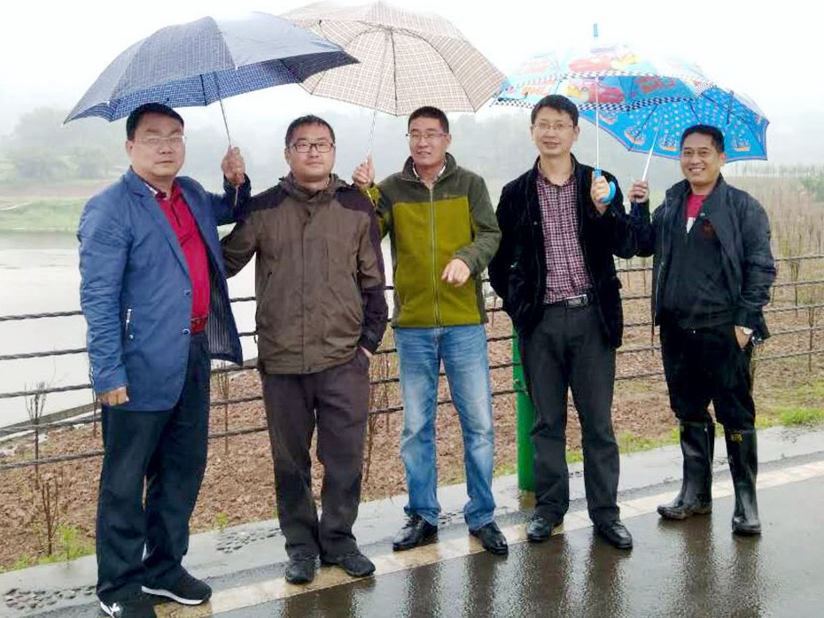 威廉希尔园林绿化维护