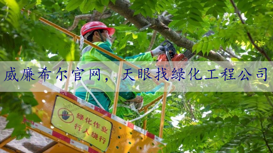 天眼找绿化工程公司