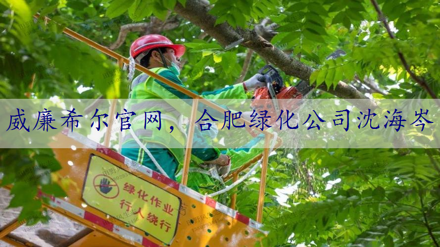 合肥绿化公司沈海岑
