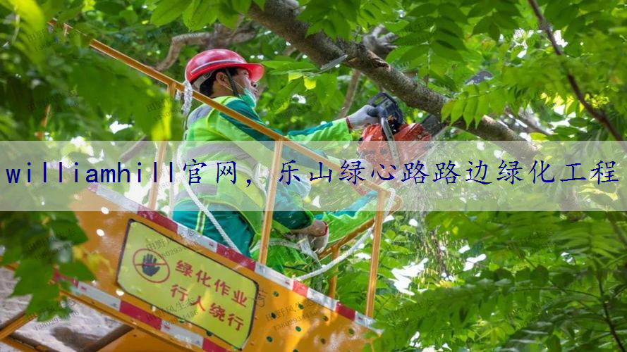 乐山绿心路路边绿化工程
