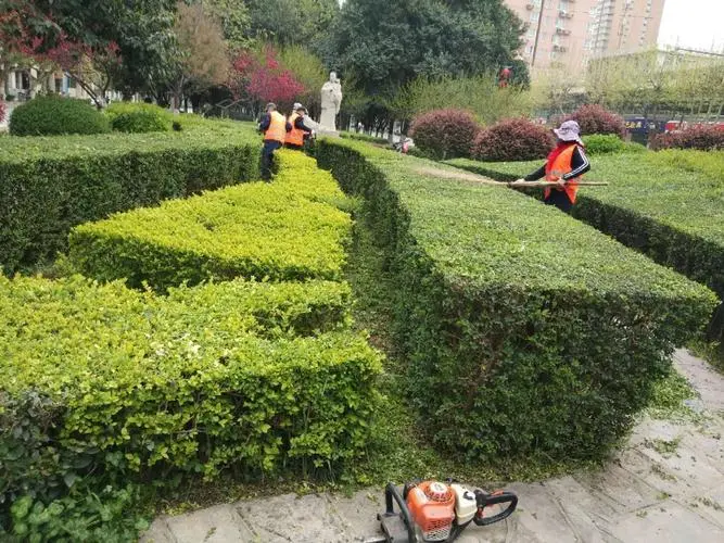花都园林景观设计工程